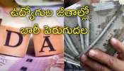 2% DA Hike: ప్రభుత్వ ఉద్యోగులకు 2 శాతం డీఏ పెరుగుదల.. కనీస వేతనంలో భారీగా మార్పులు