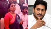 YS Sharmila Video: చెల్లినే వదల్లేదు..  ఇతరుల్ని ఏం గౌరవిస్తారు.. సజ్జల వ్యాఖ్యలపై వైఎస్ షర్మిల సీరియస్..