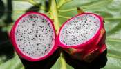 Dragon Fruit: డయాబెటిస్‌ ఉన్నవారు ప్రతిరోజు ఈ పండు తినండి..