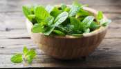 Pudina Benefits: పుదీనా  ఔషధ గుణాల గురించి మీకు తెలుసా? 