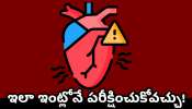 Heart Blockage: మీకు హార్ట్ బ్లాక్ సమస్య ఉందో లేదో? ఇలా ఇంట్లోనే పరీక్షించుకోవచ్చు..