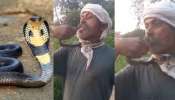 Snake Rare Video: ముసలోడే కానీ మహా రసికుడు.!.. పాముకు గర్ల్ ఫ్రెండ్ కి ఇచ్చినట్లు లిప్ లాక్ ..  ట్విస్ట్  ఏంటంటే.?.. వీడియో వైరల్..