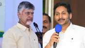 Rise Survey: ఏడాదిలో కూటమికి షాక్, కూటమికి చేజారనున్న సీమ, రైజ్ సర్వే