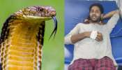 Snake Bite News: ఇదెక్కడి విడ్డూరం.. యువకుడ్ని కాటేయగానే ప్రాణాలు వదిలిన విషపూరితమైన పాము.. ఎక్కడంటే..?
