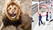 Pet lion Attacks Video: షాకింగ్.. జనాలపైకి దూకి దాడి చేసిన పెంపుడు సింహాం.. వీడియో వైరల్..