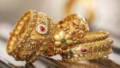 Gold Rate:  ఇది కదా న్యూస్ అంటే.. తులం బంగారం రూ. 25వేలు తగ్గుతుంది.. ఒక నాలుగు నెలలు  ఓపిక పట్టండి..!!