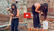 4 Feet Snake Viral Video: హీరోయిన్ లాంటి అమ్మాయి సింగిల్ హ్యాండ్‌తో 4 అడుగుల పామును పట్టేసుకుంది.. వీడియో ఇదే..
