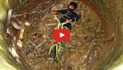 Most Dangerous 11 Snakes Video: పాడుబడ్డ బావిలో నుంచి  11 పాములను బయటికి తీసిన స్నేక్ క్యాచర్.. ఇదిగో వీడియో ఇదే..
