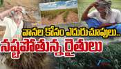  No Rains: వానల కోసం ఎదురుచూపులు.. నష్టపోతున్న రైతన్నలు.. 