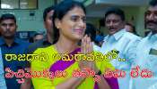 YS Sharmila: ప్రధాని మోదీ గల్లా పట్టి చంద్రబాబు రూ.లక్ష కోట్లు తీసుకురావాలి