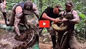 Anaconda Video: వామ్మో.. అమెజాన్ అనకొండను ఒంటి చేత్తో పట్టిన యువకుడు.. వీడియో చూస్తే వణికిపోతారు..