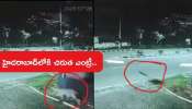 Video: అయ్య బాబోయ్‌.. హైదరాబాద్‌లోకి ఎంట్రీ ఇచ్చిన చిరుత, సోషల్‌ మీడియాలో విజువల్స్‌ వైరల్‌..!