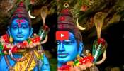 King Cobra Video: శివుడి విగ్రహంపై దర్శనమిస్తున్న నాగుపాము.. వీడియో చూసిన వారంతా ఇది శివయ్య లీలే అంటున్నారు..