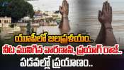 UP Floods: యూపీలో జల ప్రళయం.. నీట మునిగిన వారణాసి, ప్రయాగ్ రాజ్.. పడవల్లో ప్రయాణం.. 