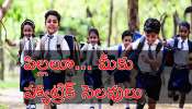 Schools Holiday: విద్యార్థులకు పండుగే పండుగ.. రేపు, ఎల్లుండి వరుసగా 3 రోజులు స్కూల్స్‌ బంద్‌