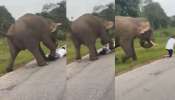 Bandipur Elephant Attacks Video: వామ్మో.. టూరిస్టును ఉర్కించి, కాళ్లతో తొక్కి మరీ దాడి చేసిన ఏనుగు.. వీడియో వైరల్..
