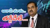 Adani Group Stocks: దుమ్ములేపుతున్న అదానీ గ్రూప్ స్టాక్స్.. సెబీ క్లీన్ చిట్‎తో ఇన్వెస్టర్లలో ఫుల్ జోష్..!! 