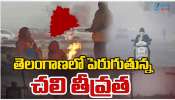 Telangana Cold Waves: తెలంగాణలో పెరిగిన చలి పులి.. Telangana Cold Waves: తెలంగాణలో పెరిగిన చలి పులి..