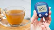 Diabetes Drink: షుగర్ పేషెంట్స్ మీకోసమే.. పవర్ ప్యాక్డ్ ఎనర్జీ డ్రింక్.. రోజూ తాగితే మధుమేహం మాయం..!