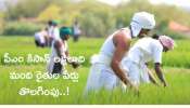 PM Kisan: రైతులకు బిగ్షాక్.. పీఎం కిసాన్ నుంచి లక్షలాది మంది పేర్లు తొలగింపు? ఇలా చెక్ చేసుకోండి.. PM Kisan: రైతులకు బిగ్షాక్.. పీఎం కిసాన్ నుంచి లక్షలాది మంది పేర్లు తొలగింపు? ఇలా చెక్ చేసుకోండి..