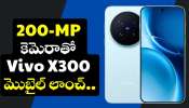 Vivo X300 Series: 200-మెగాపిక్సెల్ కెమెరాతో Vivo X300 మొబైల్ లాంచ్‌ కాబోతోంది.. ఫీచర్స్‌, ఇతర వివరాలు లీక్‌..