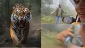 Tiger Attack Video: వామ్మో.. అడవిలో టూరిస్టును మెరుపు వేగంతో లాక్కెళ్లిన పెద్దపులి.. ఓళ్లుగగుర్పొడిచే వీడియో.. Tiger Attack Video: వామ్మో.. అడవిలో టూరిస్టును మెరుపు వేగంతో లాక్కెళ్లిన పెద్దపులి.. ఓళ్లుగగుర్పొడిచే వీడియో..