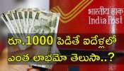 Safe Investment: ఈ పథకంలో పెట్టుబడి పెడితే చాలు.. డబుల్‌ ప్రాఫిట్‌