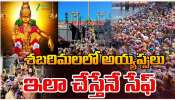 Sabarimala Temple: తెరచుకున్న శబరిమల అయ్యప్పస్వామి ఆలయ తలుపులు.. ఇవే విశేషాలు
