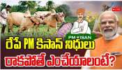 Annadata Sukhibhava: రేపు పీఎం కిసాన్, అన్నదాత సుఖీభవ డబ్బులు.. రైతుల ఖాతాల్లోకి రూ.6,309 కోట్లు! Annadata Sukhibhava: రేపు పీఎం కిసాన్, అన్నదాత సుఖీభవ డబ్బులు.. రైతుల ఖాతాల్లోకి రూ.6,309 కోట్లు!