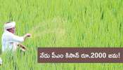 PM Kisan: నేడే పీఎం కిసాన్‌ 21వ విడుత రూ.2000 విడుదల.. అర్హత, బెనిఫిట్స్‌ స్టేటస్‌ చెసుకునే విధానం..!