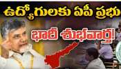 Govt Employees: ప్ర‌భుత్వ ఉద్యోగులకు ఏపీ ప్రభుత్వం శుభవార్త.. 24 లక్షల మందికి లబ్ధి