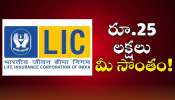 Lic Best Policy: మిడిల్ క్లాస్ కుటుంబానికి హై క్లాస్ LIC పాలసీ.. రోజుకి రూ.45 పెట్టుబడి పెడితే.. రూ.25 లక్షలు మీ సొంతం!
