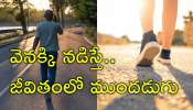 Reverse Walking: కిలోల కొద్దీ బరువు తగ్గేందుకు అద్భుతమైన ప్రక్రియ 'రివర్స్‌ వాకింగ్‌'