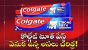 Colgate Toothpaste: కోల్గేట్ టూత్ పేస్ట్ తయారు చేయకముందే.. ఏవి తయారు చేసేదో తెలుసా? Colgate Toothpaste: కోల్గేట్ టూత్ పేస్ట్ తయారు చేయకముందే.. ఏవి తయారు చేసేదో తెలుసా?