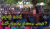 Govt Employees: పంచాయతీ ఉద్యోగులకు జీతం ఎంత ఉంటుంది? గ్రేడ్ల వారీగా జీతభత్యాలు ఇవే!