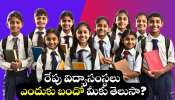 Tomorrow School Holiday: రేపు విద్యాసంస్థలు ఎందుకు బందో మీకు తెలుసా? ఉద్యోగస్తులకు కూడా సెలవు.. Tomorrow School Holiday: రేపు విద్యాసంస్థలు ఎందుకు బందో మీకు తెలుసా? ఉద్యోగస్తులకు కూడా సెలవు..