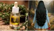 Bhringraj Hair Oil: ఈ నూనె జుట్టుకి రాసుకుంటే ఒక్క వెంట్రుక కూడా రాలదు..7 రోజుల్లో అంతా సెట్..ఇంతకీ అదేంటో తెలుసా?