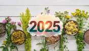 Ayurveda 2025: ఈ 5 ఆయుర్వేదిక్ ఇంటికి చిట్కాలు 2025లో ఎక్కువమంది ఫాలో అయ్యారు..!