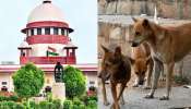 Supreme Court: కుక్క ఏ మూడ్ లో ఉంటుందో ఎలా చెప్పగలం.!. వీధి శునకాల కేసులో సుప్రీంకోర్టు కీలక వ్యాఖ్యలు..