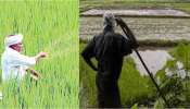 Telangana: రైతులకు గుడ్ న్యూస్... వాటిపై భారీగా సబ్సిడీ, ఈ పథకం తెలియకపోతే నష్టమే! ఎలా అప్లై చేసుకోవాలంటే?