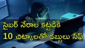 Cyber Crime Tips: సైబర్ నేరగాళ్ల ఉచ్చుకు చిక్కకుండా ఈ 10 చిట్కాలు పాటించండి Cyber Crime Tips: సైబర్ నేరగాళ్ల ఉచ్చుకు చిక్కకుండా ఈ 10 చిట్కాలు పాటించండి