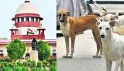 Supreme Court: కుక్కల మీద అంత ప్రేముంటే ఈ పనిచేయండి.!. వీధి శునకాల కేసులో సుప్రీంకోర్టు సంచలన వ్యాఖ్యలు.. Supreme Court: కుక్కల మీద అంత ప్రేముంటే ఈ పనిచేయండి.!. వీధి శునకాల కేసులో సుప్రీంకోర్టు సంచలన వ్యాఖ్యలు..