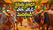 Kanuma Festival 2026: కనుమ పండగ ఎలా, ఎక్కడ మొదలైంది.. దీనిని ఎందుకు రైతుల పండగగా భావిస్తారు? 