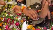 Video Viral: ఇదెక్కడి విడ్డూరం.. శివలింగం మీద బతికున్న ఎండ్రికాయల్ని పెడుతున్న భక్తులు.. వీడియో వైరల్..