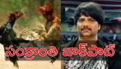 Cockfight Prize: సంక్రాంతి జాక్‌పాట్.. రూ.కోటి 50 లక్షలు గెలుచుకున్న ఓ కోడి