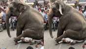 Elephant Video: ఇదెక్కడి మాస్ రా మావా.!. నడి రోడ్డు మీద మనిషిపై కూర్చున్న భారీ ఏనుగు.. వీడియో వైరల్.. Elephant Video: ఇదెక్కడి మాస్ రా మావా.!. నడి రోడ్డు మీద మనిషిపై కూర్చున్న భారీ ఏనుగు.. వీడియో వైరల్..