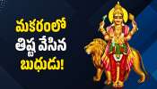 Mercury Transit 2026: మకరంలో తిష్ట వేసిన బుధుడు.. ఈ రాశుల వారికి కోటీశ్వరులయ్యే యోగం ప్రారంభం! Mercury Transit 2026: మకరంలో తిష్ట వేసిన బుధుడు.. ఈ రాశుల వారికి కోటీశ్వరులయ్యే యోగం ప్రారంభం!
