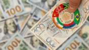 BRICS Currency Future: బ్రిక్స్ తన సొంత కరెన్సీని ప్రారంభిస్తే ఏం జరుగుతుంది? డాలర్ దిక్కులేనిది అవుతుందా?