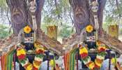 Real Snake On Shiva lingam: అద్భుతం.. శివలింగాన్ని చుట్టుకుని పడగ విప్పిన నాగుపాము.. ఎక్కడంటే..?