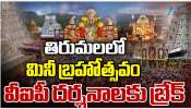 Tirumala: రథ సప్తమి సందర్భంగా ముస్తాబవుతున్న తిరుమల..